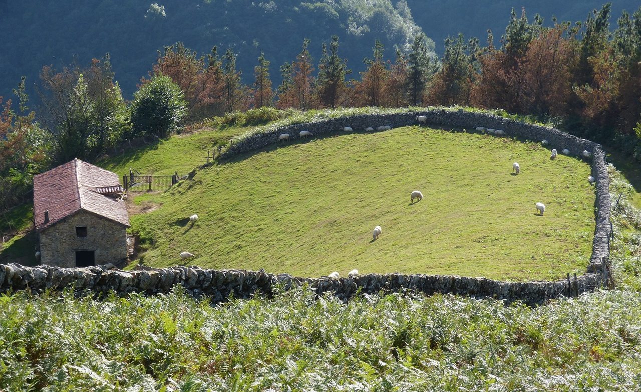 meadow 3802258 1280