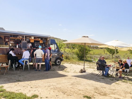 Parque Natural de las Bardenas Reales Francis Vaquero Turismo de Navarra