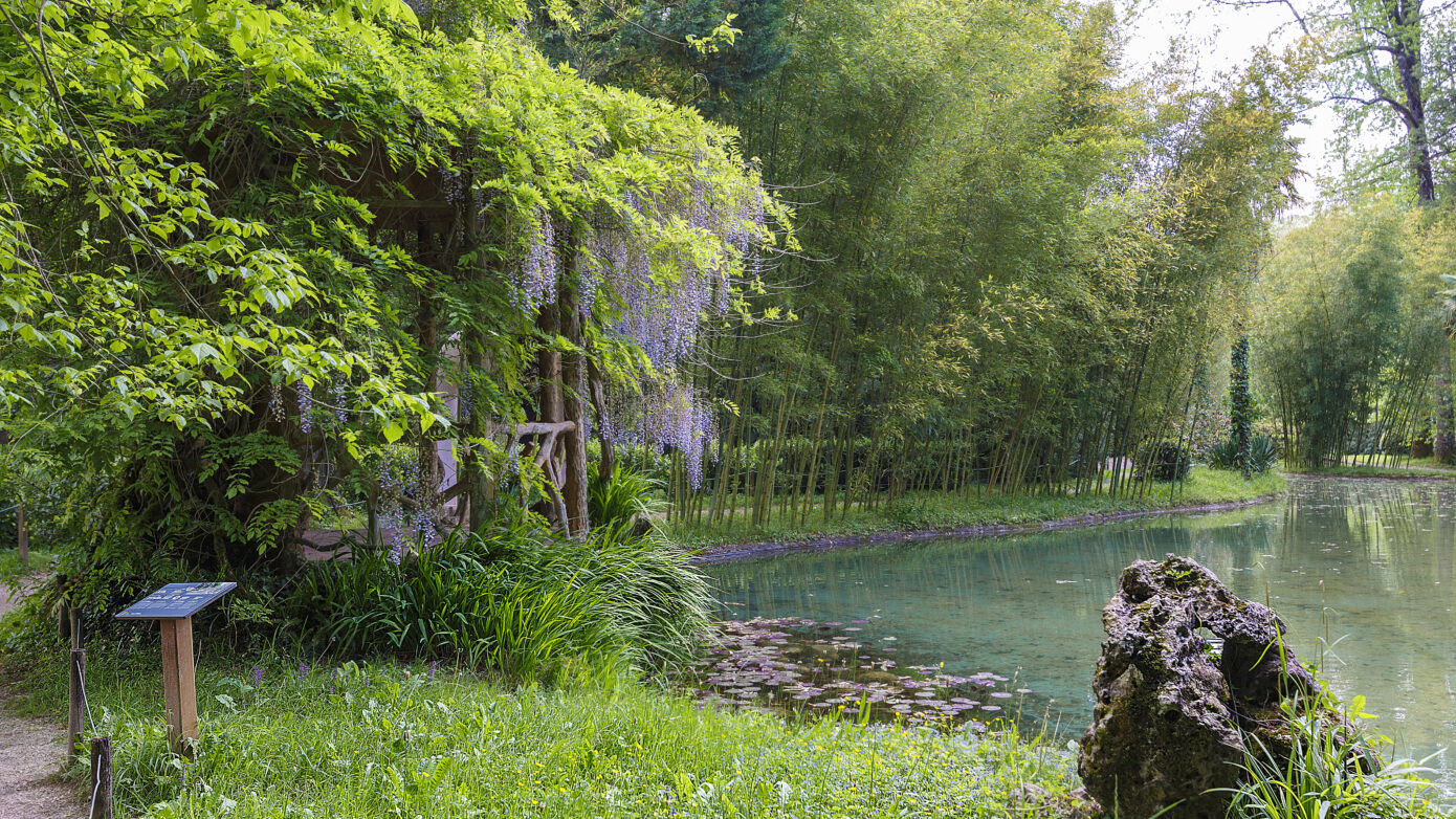 Parque Natural del Senorio de Bertiz Francis Vaquero Turismo de Navarra