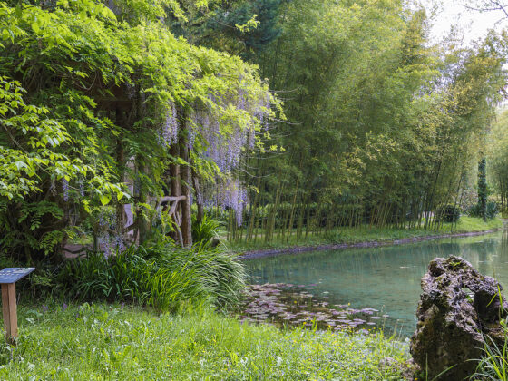 Parque Natural del Senorio de Bertiz Francis Vaquero Turismo de Navarra